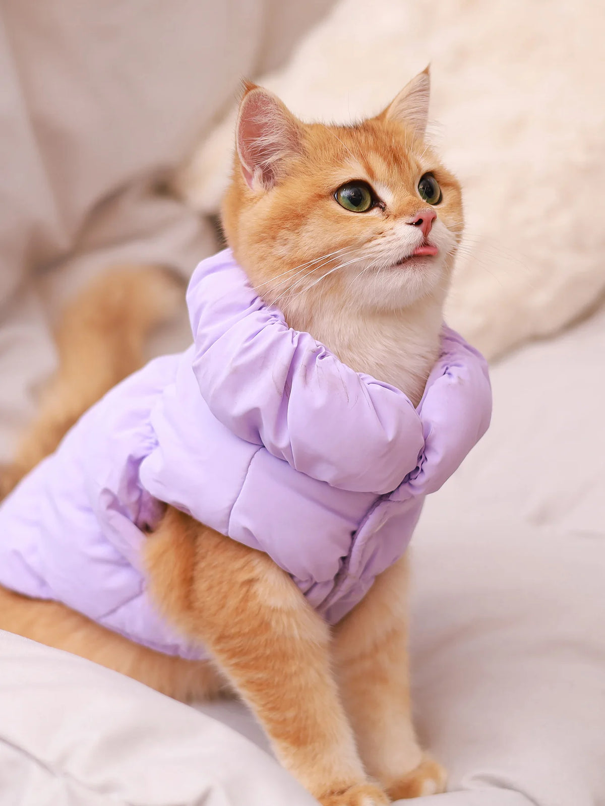 Dog Jacket for Autumn/Winter, Pet Coat, 3-Layer Thick Warm Outerwear, Suitable for Small to Medium Dogs like Poodle, Teddy, York