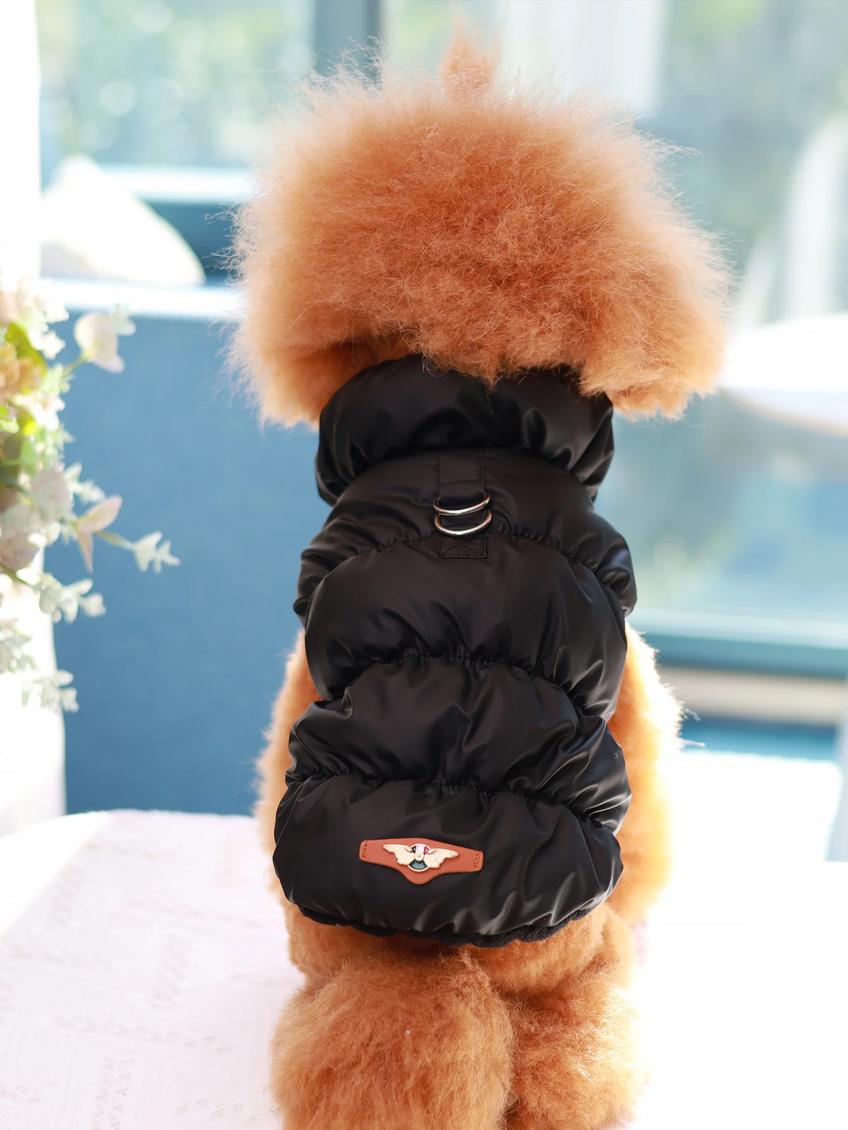 Dog Jacket for Autumn/Winter, Pet Coat, 3-Layer Thick Warm Outerwear, Suitable for Small to Medium Dogs like Poodle, Teddy, York